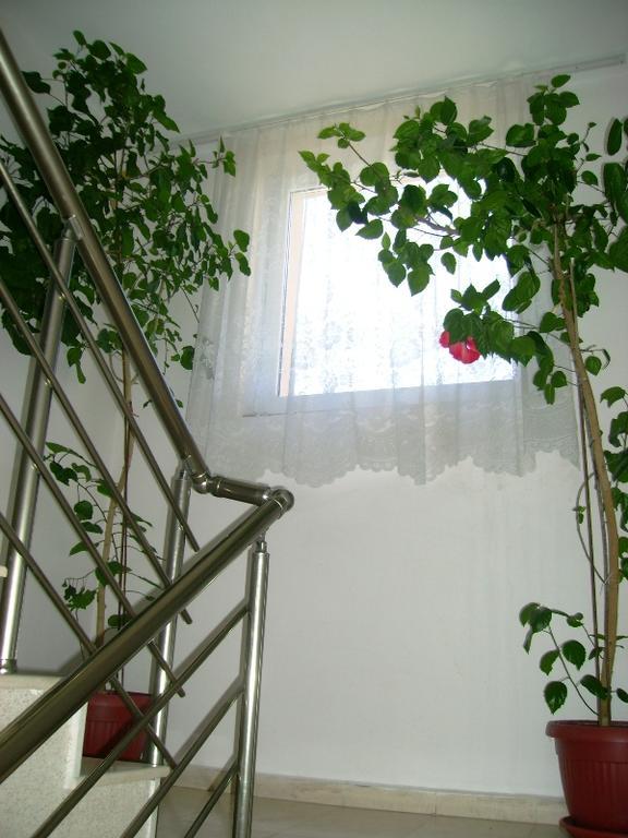 Guest House Jumbo Aheloy Bagian luar foto